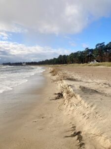 En bild av strandkanten i Strandskog, Ystad. Mars 2023.